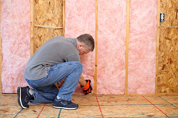 Best Wall Insulation Installation  in Tangerine, FL